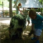 De jongens 1 #012