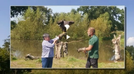 Hertog Vitesse Arnhem