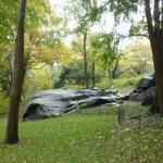 2009NewYork096