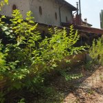 2019italie085
